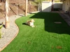 Pet dog run synthetic turf fake grass artificial grass used for special events