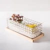 China Home Garden Wholesale Tabletop Succulent Plant glass cube Planter vase Flower Pot Terrarium for Fairy Garden Greenhouse