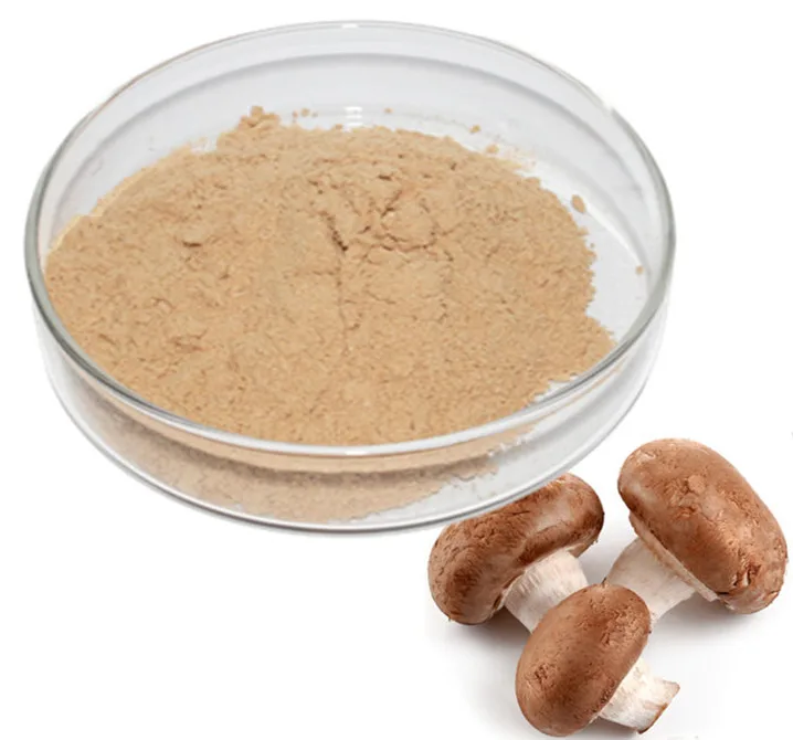 nature shitake mushroom extract/mushroom powder