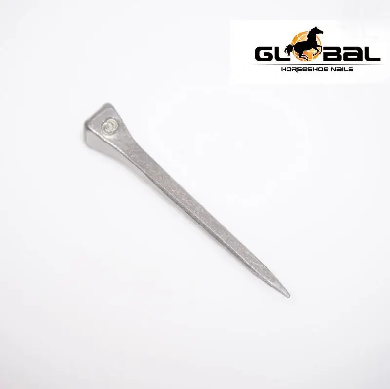 

Global museum quality horse skeleton Horse products Factory