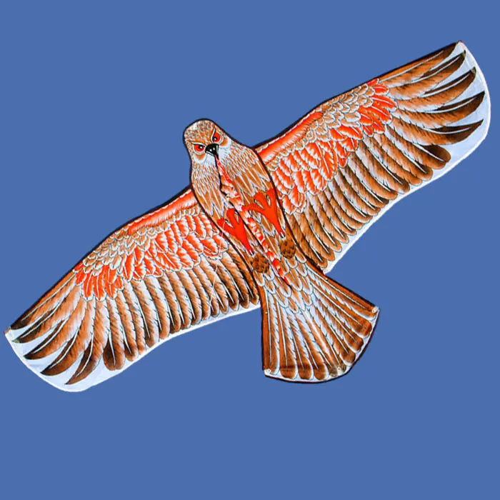 Best Selling Eagle Kite Bird Kite From The Kite Factory Buy Eagle