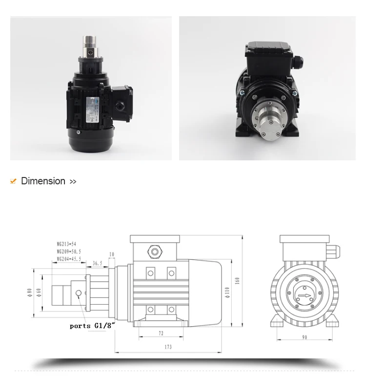 Commercial Electrical Ac Gear Pump Three Phase Ac220/380v