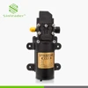 China competitive price electric agricultural small miniature 12V 24V 48V dc car washing water pumps diaphragm pump