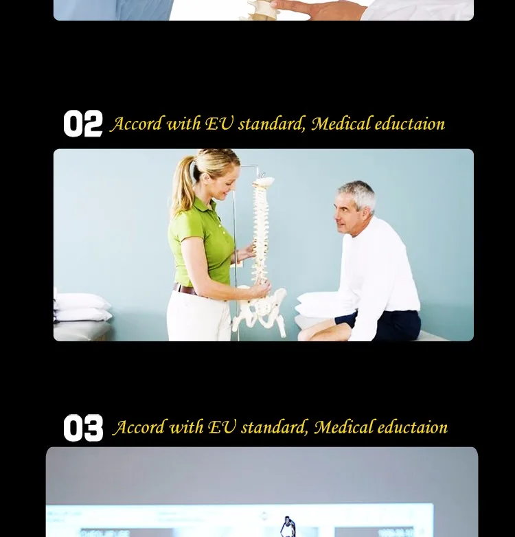 Nutural large factory direct sale artifical medical antomical human spine model.jpg