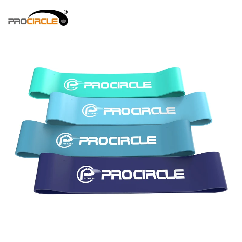 

Customized Print 4 Pcs Loop Mini Elastic Resistance Bands, Customized 4 colors