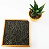 Wholesale High Quality Best price Full range of Chinese organic the vert de chine green tea EU Standard