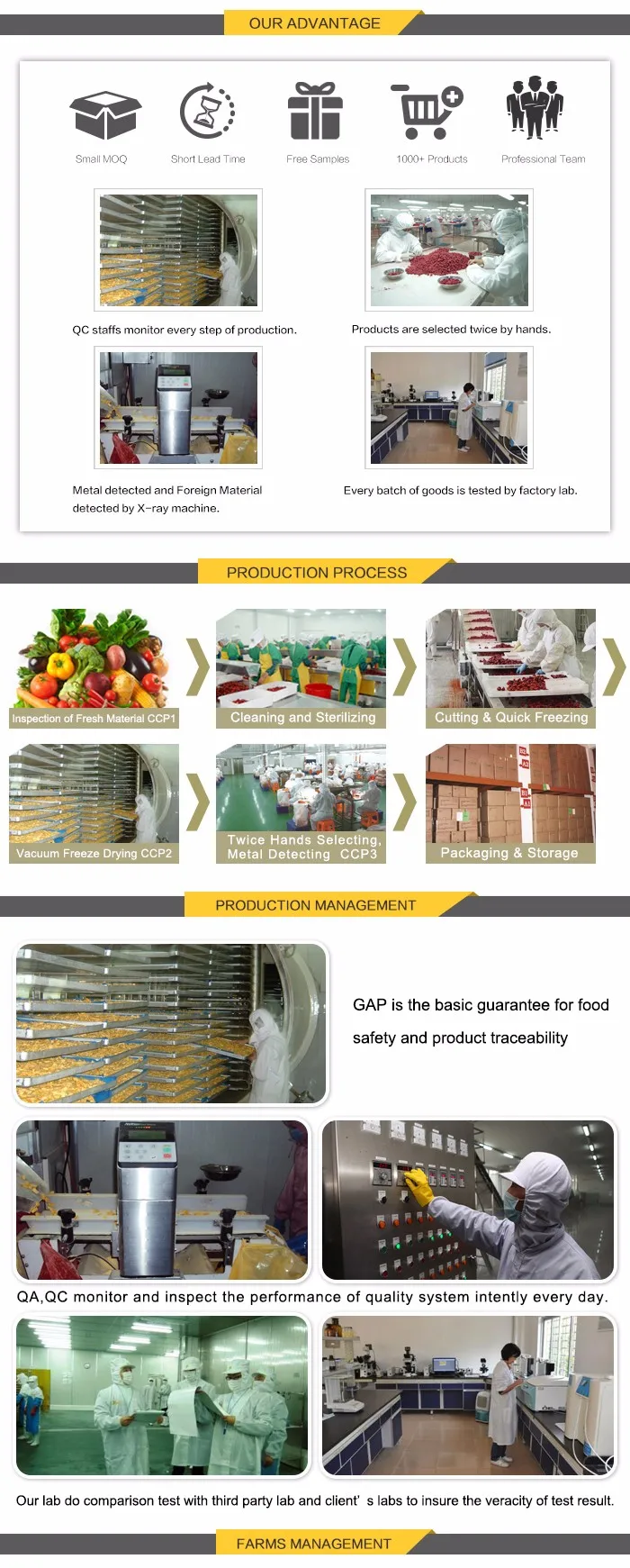 OEM Welcome Hot Sale Freeze Dried Kiwi FD Kiwi