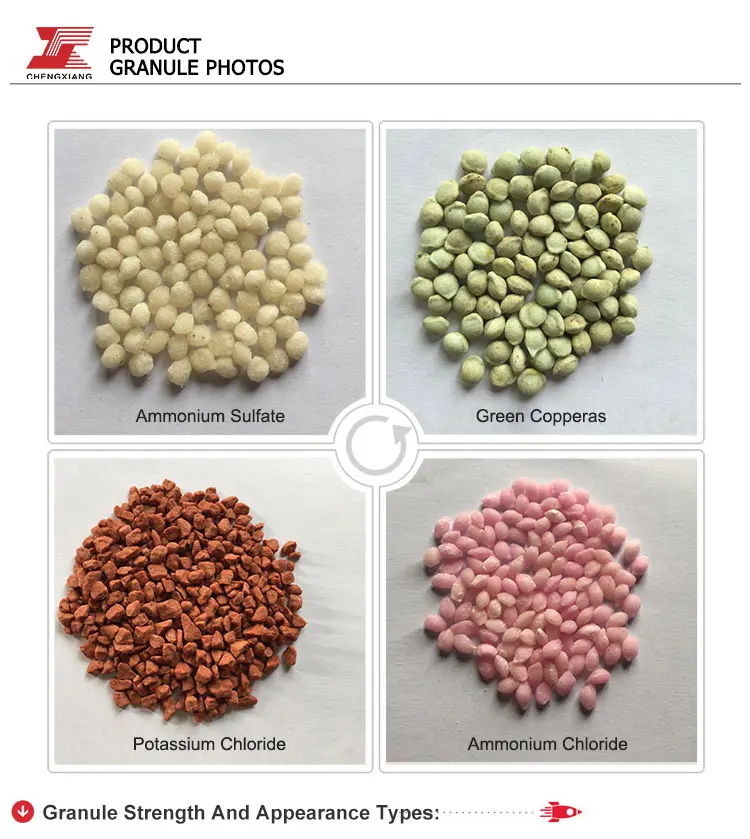 dry granulation equipment