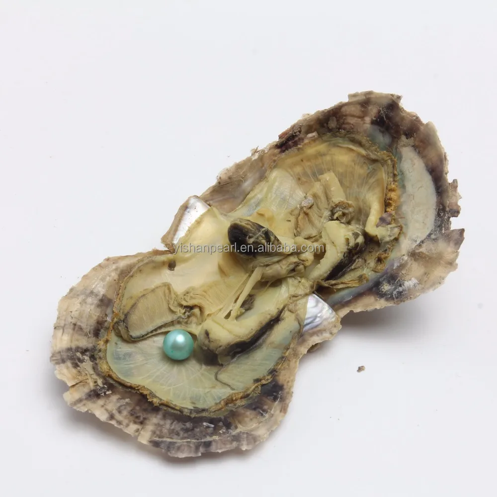 

2018 Wholesale AA Grade Cheap  Rainbow Color Pearls in Akoya Oyster Vacuum-Packed Fancy Gifts for Girls, Colorful