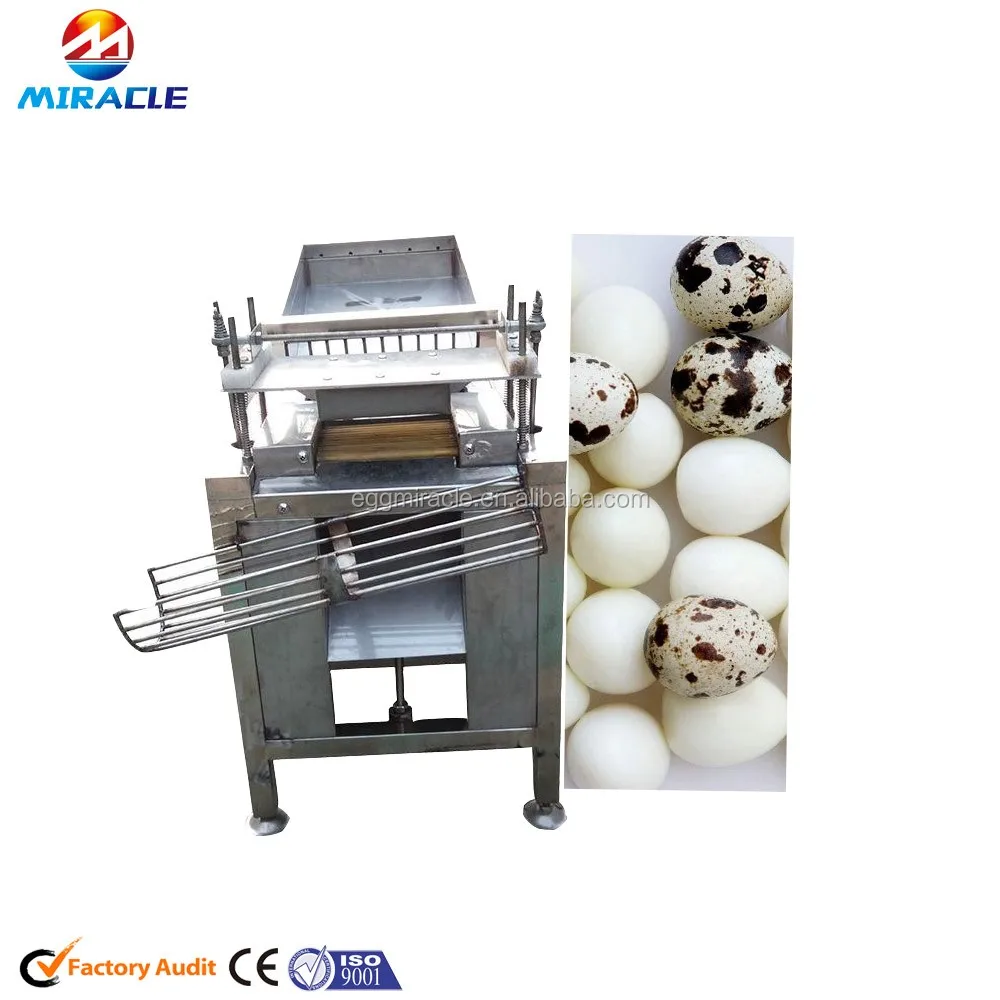automatic quail egg peeler factory
