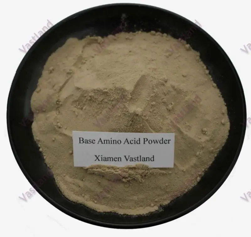 base amino acid