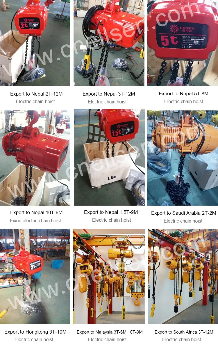 case of electric chain hoist-2.jpg