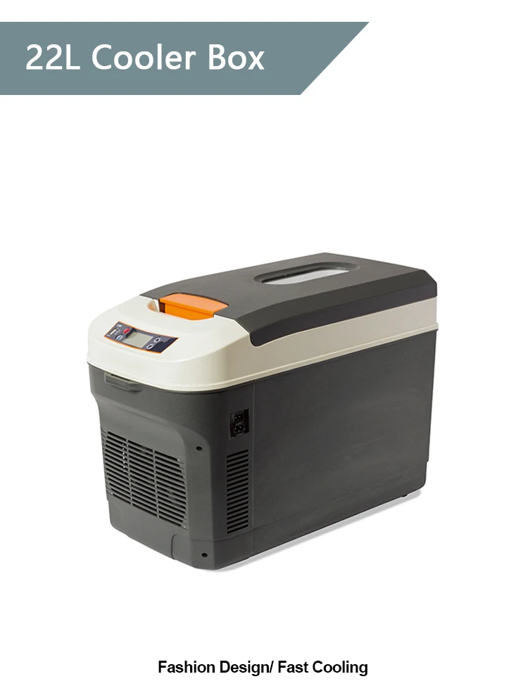 22l 12v 110v Portable Light Up Mini Fridge Battery Powered Car