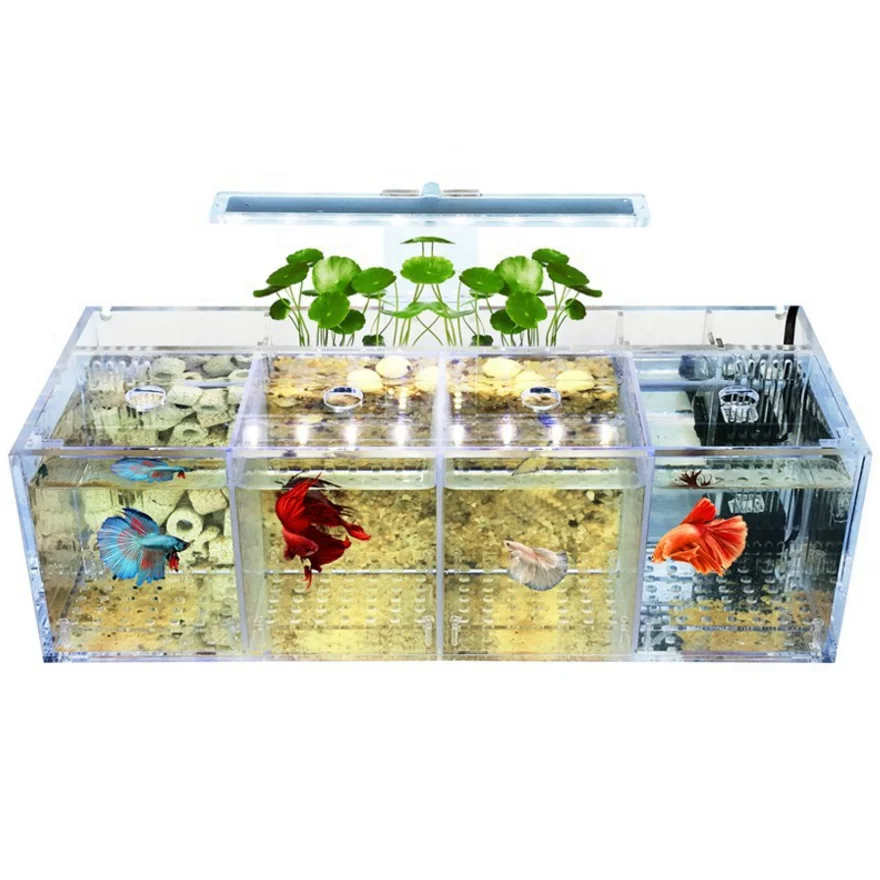 

Multifunction Grid LED Acrylic Fish aquarium tank with Water Pump Filters Acrylic Fish aquarium tank, N/a