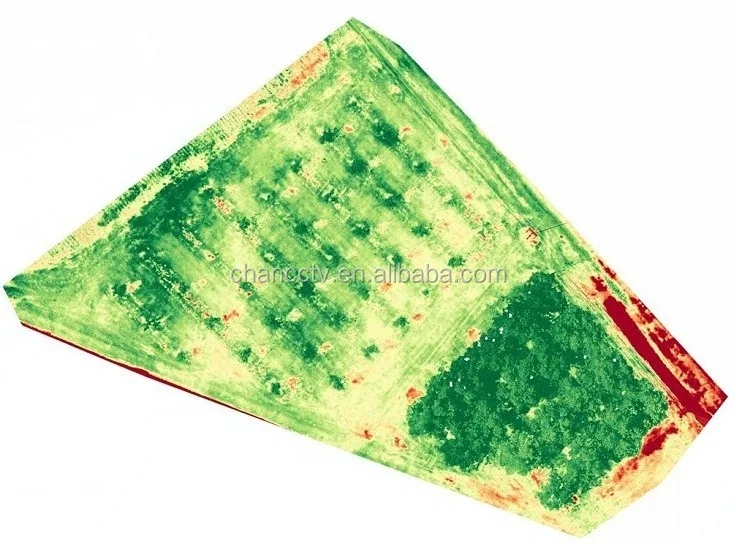 4.35mm+NDVI Analysis.jpg