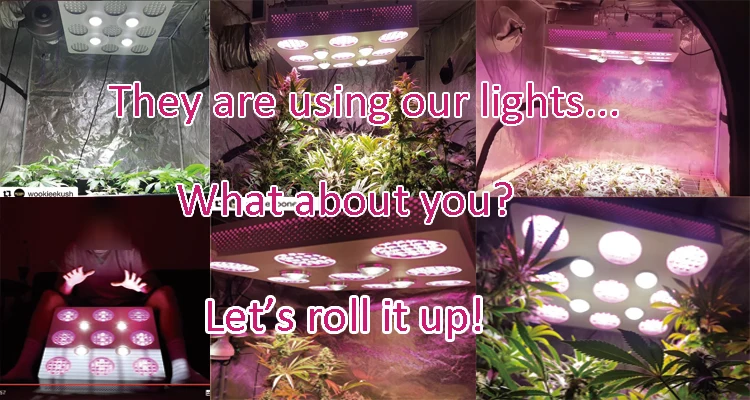 2018 top 10 led