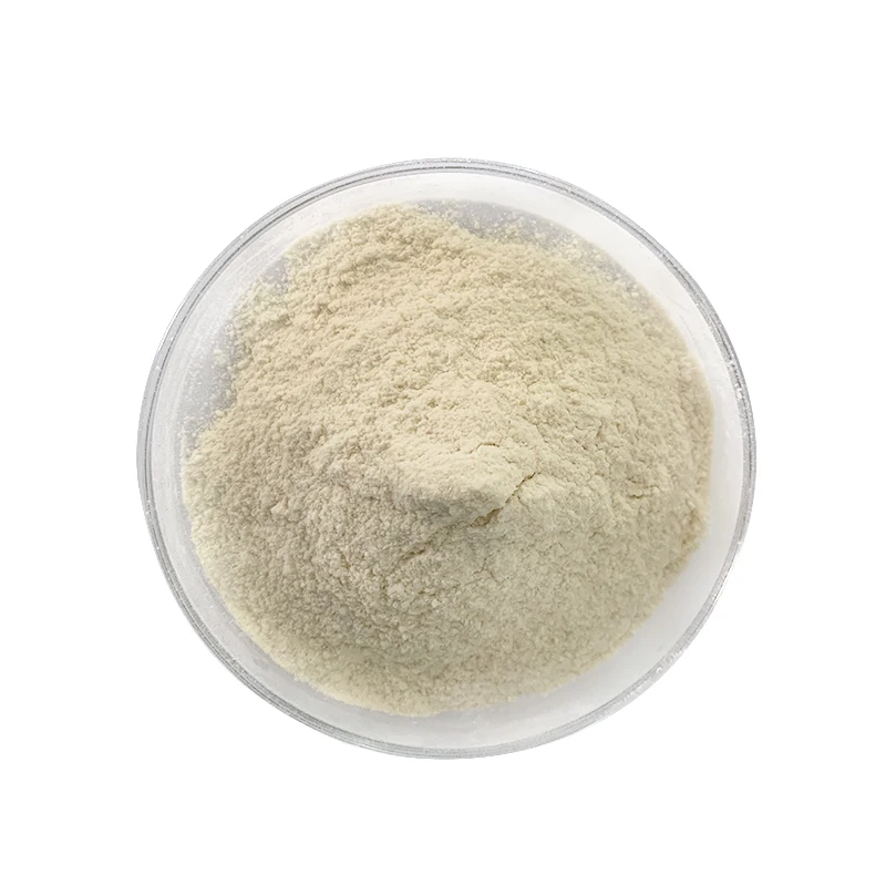 
Yogurt starter culture patent strain food ingredient raw material streptococcus thermophilus 