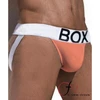 No.1 supplier of USA market gay men underwear backless breathable gay jockstrap cotton spandex fabric male sexy underwear