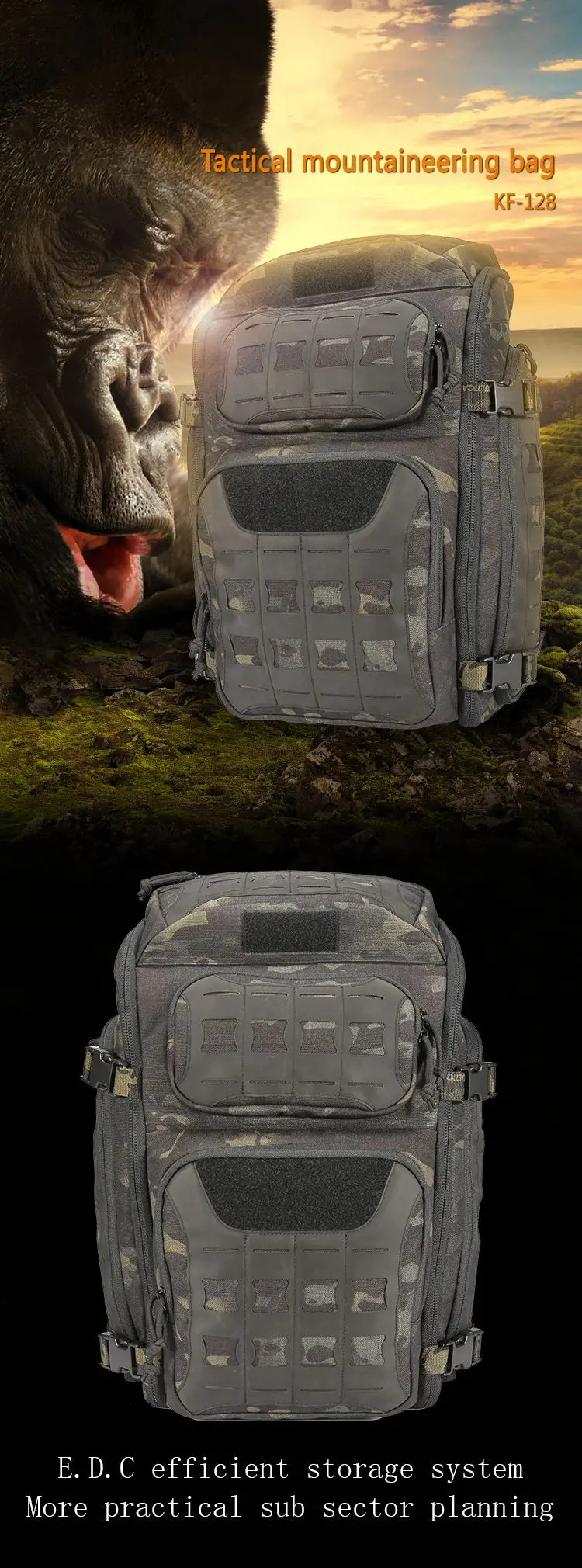 1_.jpg