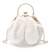 Sweet girls bags cute rabbit ears fur hand bag fashion chain shoulder messenger bag High Quality elegant handbags for women