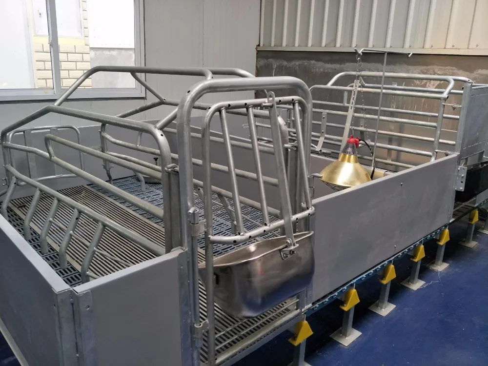 Sow Used Pig Farrowing Crates For Pigs Farming Equipment Buy Pig Farrowing Crate,Used