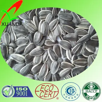bulk bird seed suppliers wholesale bird seed buy bulk bulk bird seed suppliers wholesale bird seed buy bulk