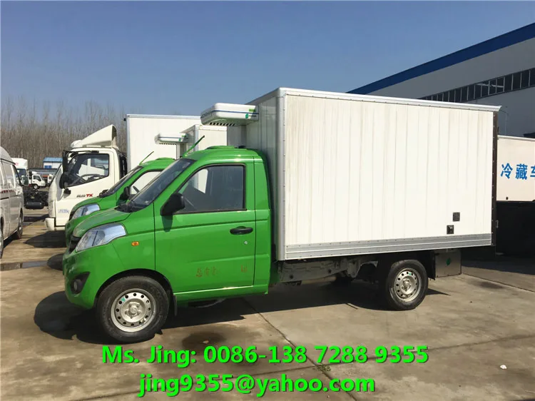 mini freezer truck 07.jpg