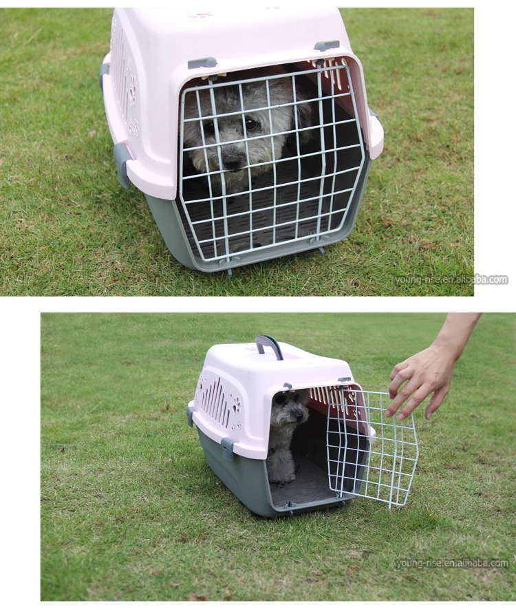 Favorite Portable Plastic Pet Dog Carrier Wholesale Pet Travel Carrier
