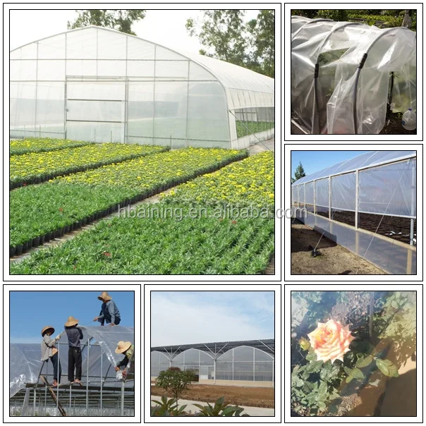 Manufacturer Agricultural Greenhouse Plastic Film / Uv Resistant