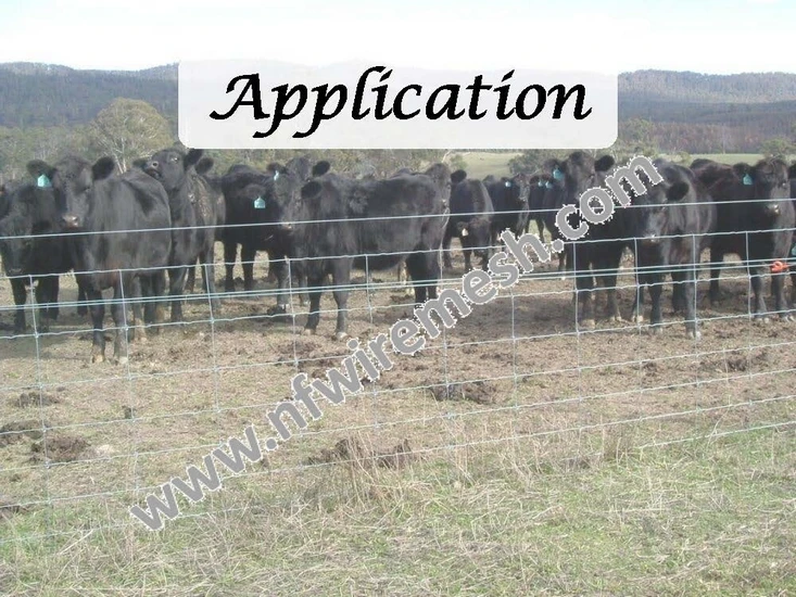 cattle fence (6).jpg