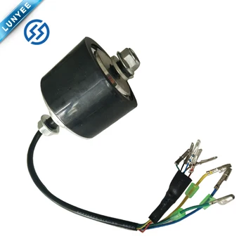 10 inch brushless hub motor