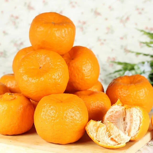 mandarin orange tangerine