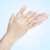 Lanhai Personal Protective Equipment Disposable PVC Vinyl Gloves Powder Free