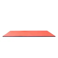 

WKF approved karate Flooring for competition Training tatami mat for sale