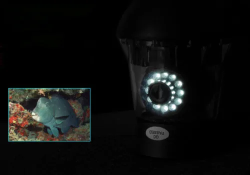 
20m 7 inch monitor 360 Degree View Underwater Fishing Camera Set 
