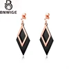 BNWIGE earrings stainless steel earring for women drop dangle rose gold geometric fashion minimalist custom statement jewelry