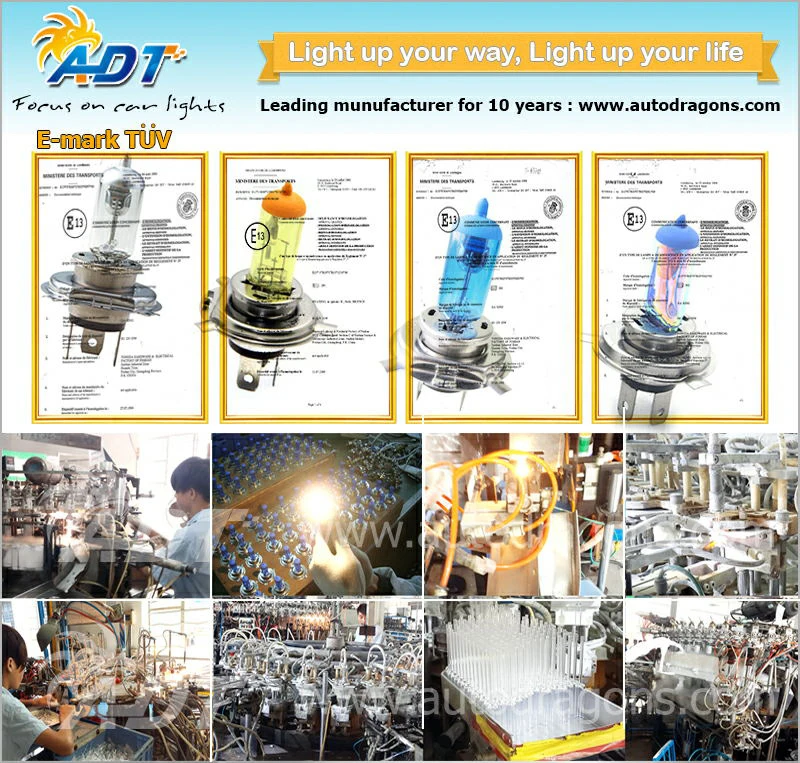 2* Pour Chevrolet Corvette 2005-2013 Ballast Xénon Module Ampoule HID - Foto 9