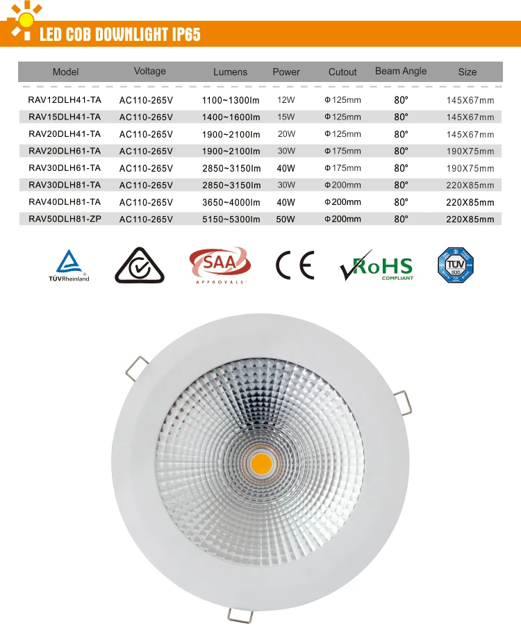 Custom indoor IP65 Ceiling LED Light 15w led 125mm downlight