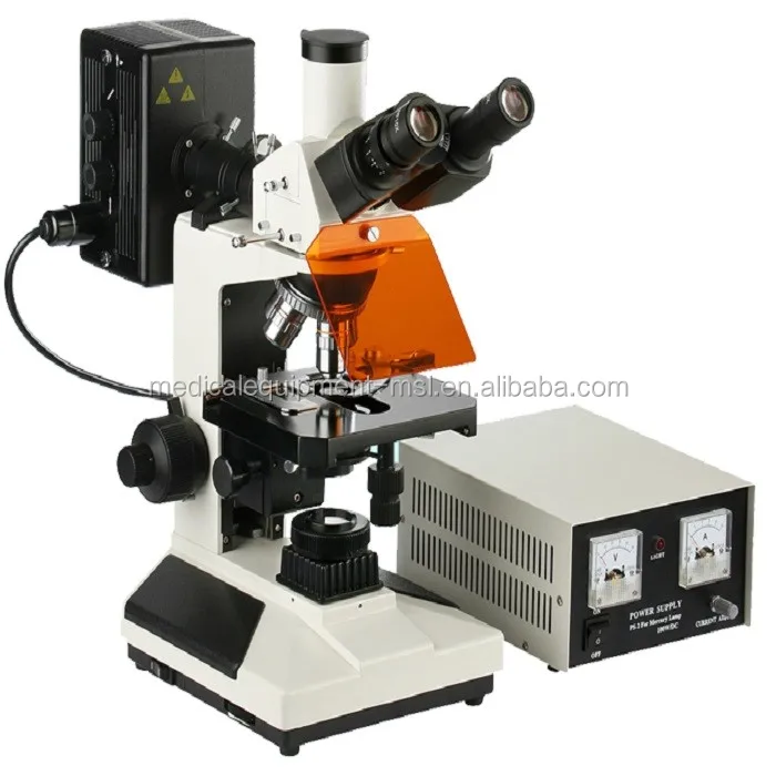 Cheapest Fluorescence Microscope/biological Microscope With Digit And