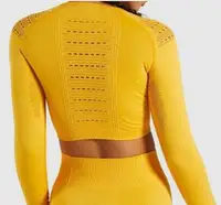 

Wholesale New Yoga Two Pieces Set Seamless Athletic Leggings Women Mesh Crop Top Yoga Set