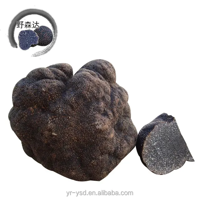 hot sale delicious wild black truffle mushroom, high quality