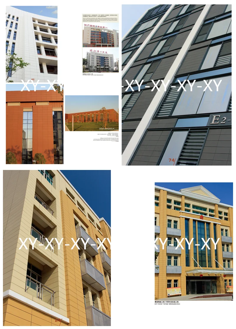 lopotb-BBok-5 _34341.jpg