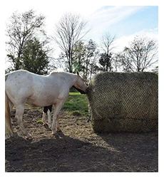 6 X 6 Large Size Durable Slow Feeder Horse Round Bale Hay Net