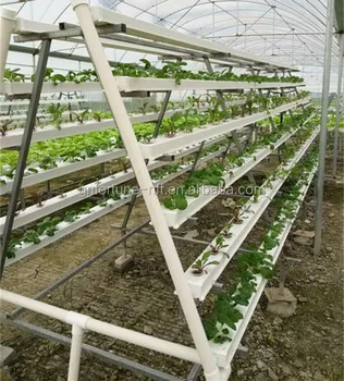 Greenhouse Hydroponic Vegetables Vertical Farming Pvc Pipe 