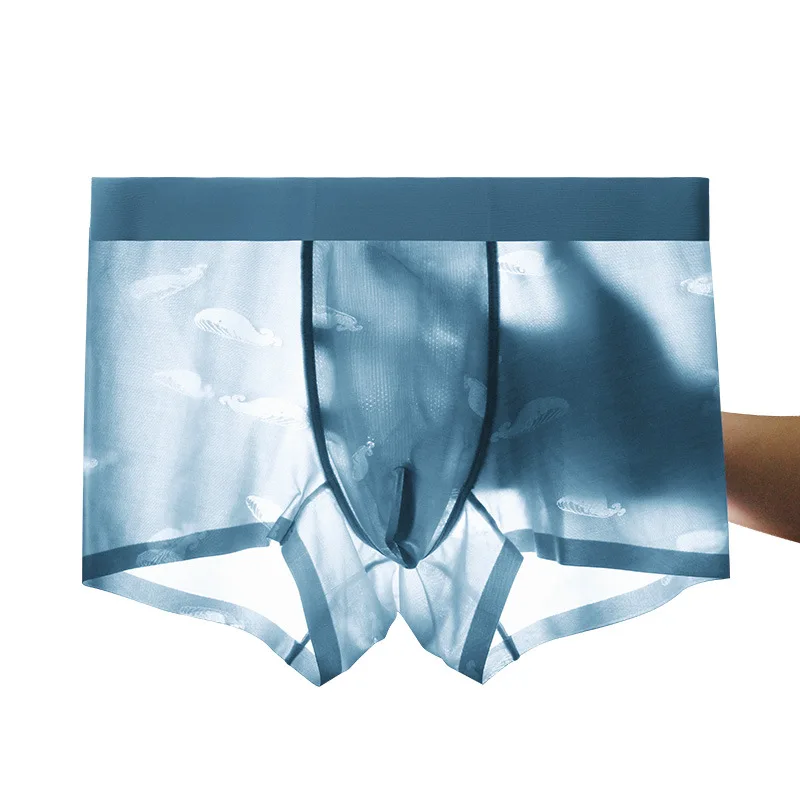 

Quick Dry Seamless Underwear Sexy Transparent Boxer Briefs For Men, Blue, gray, brown, navy