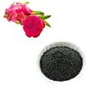 Huo Long Guo Zhong Zi Factory Price Fire Dragon Fruit Seeds Pitaya Fruit Seeds