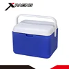 NMCB0076 Promotion wholesale portable 5L mini ice chest case /medical cooler box