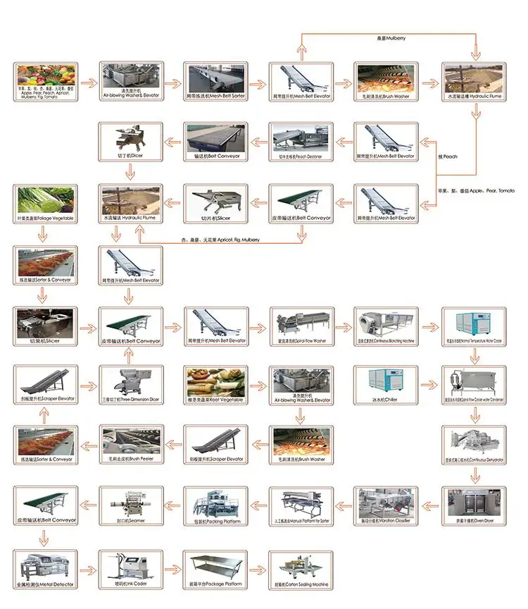 dried fruit production equipment