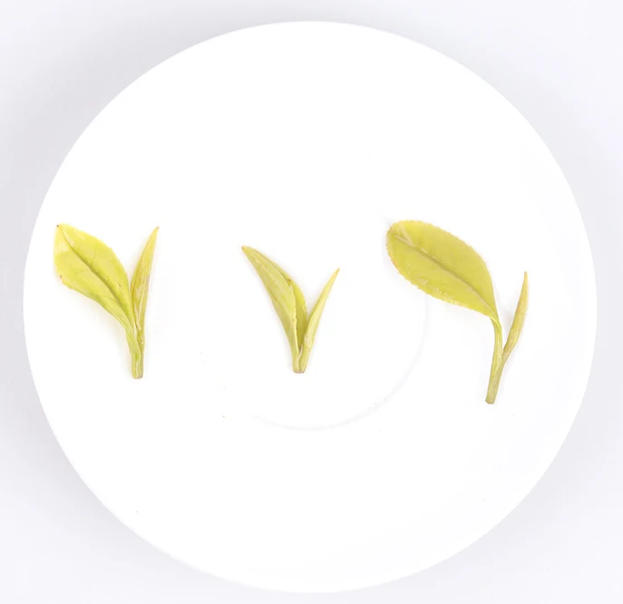 longjing tea2.jpg