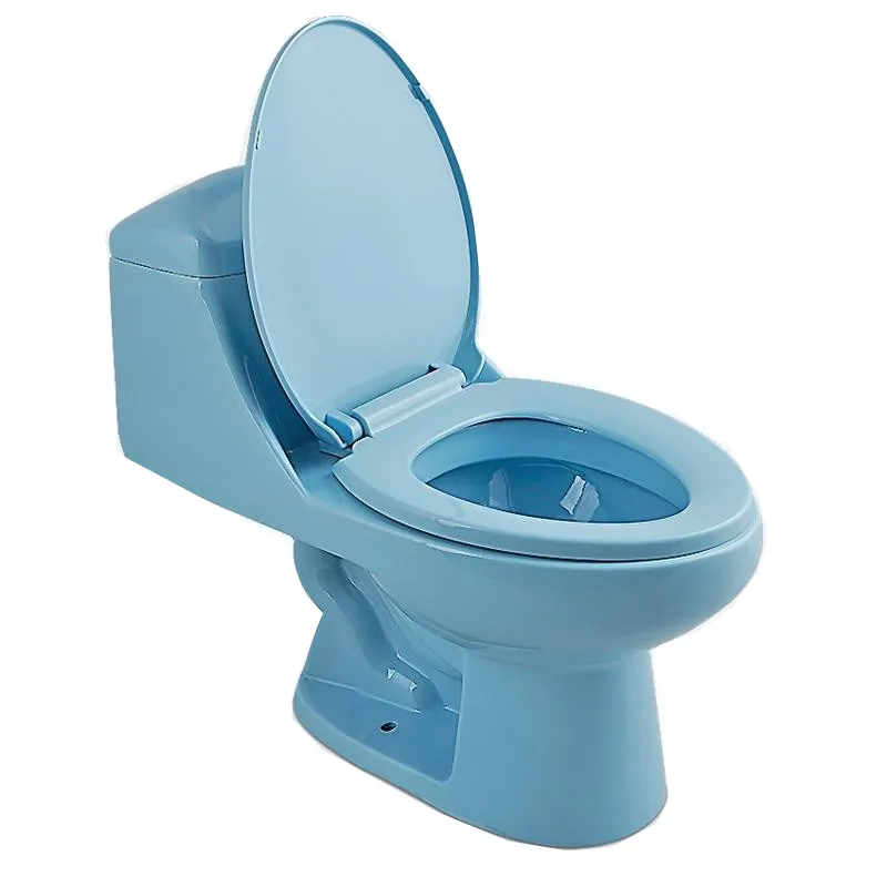 Blue Color Toilet Bowl For Sale at Jeff Obryan blog